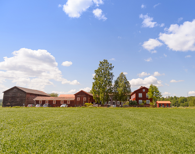 Hälsingegårdarna visar vägen till hållbar utveckling