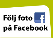 Följ Forsa Fotografi på Facebook