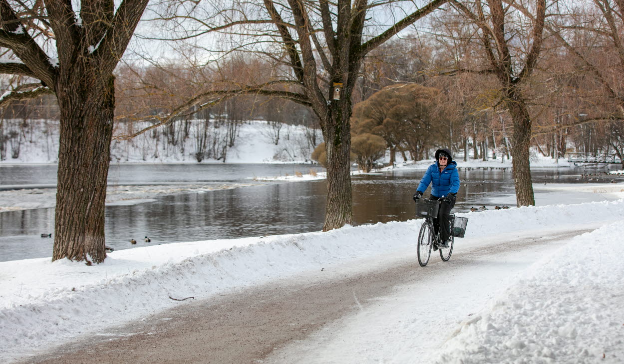 Person cyklar i park