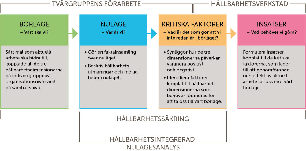 Bild över hållbarhetssäkringsprocessen.