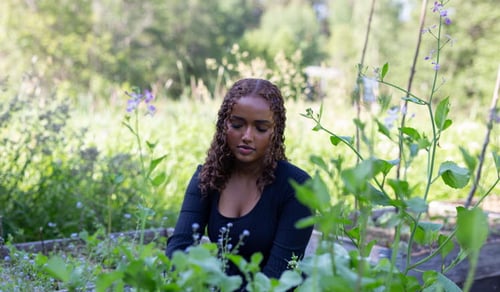 Person sitter vid en odlingslåda och arbetar bland gröna växter och blommor i en lummig trädgårdsmiljö.