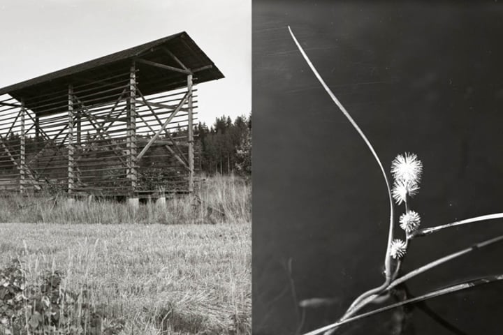 Ett svartvitt foto av en träkonstruktion.
