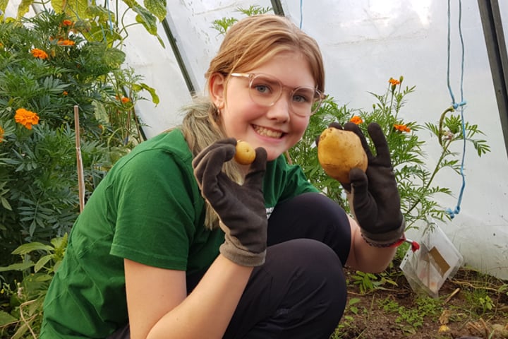 Barn som odlar tillsammans i grupp. Vi ser plantering och skörd.