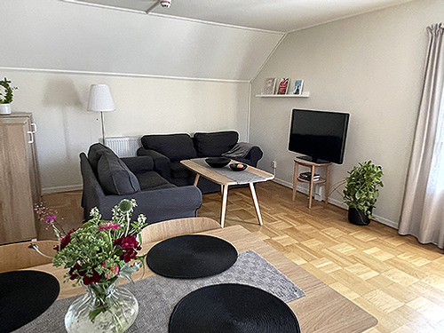 Ett vardagsrum fyllt med m&ouml;bler och en platt-tv.