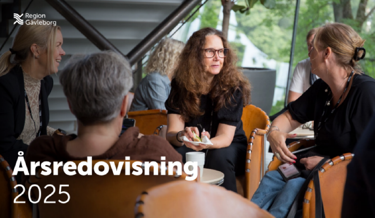 skärmdump årsredovisning 2025